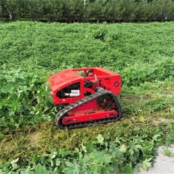 Agricultural Mower