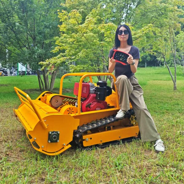 Small Diesel Lawnmower